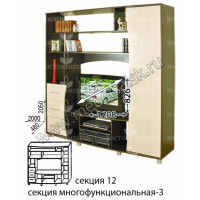 "Елена-2" Секция №12 секция многофункциональная-3